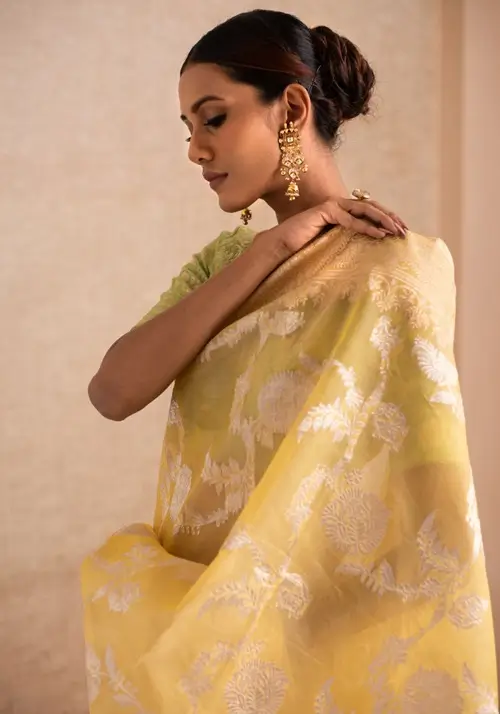 Organza brocade banarasi saree