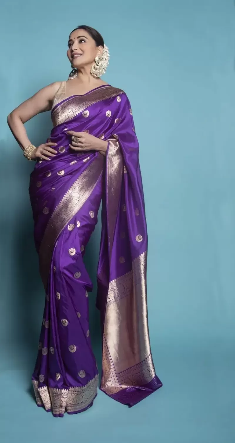 Madhuri Dixit Banarasi Saree